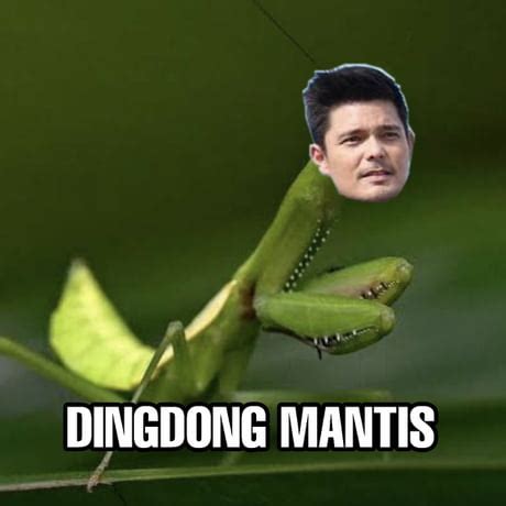 Best Funny dingdong dantes Memes .